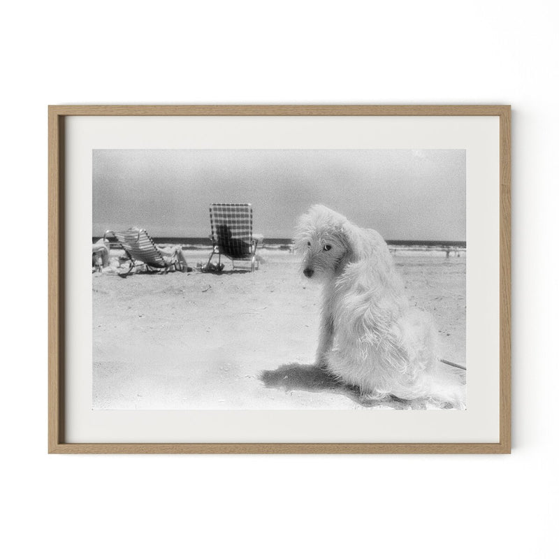 Lois At The Beach by Barbara Alper - White Oak