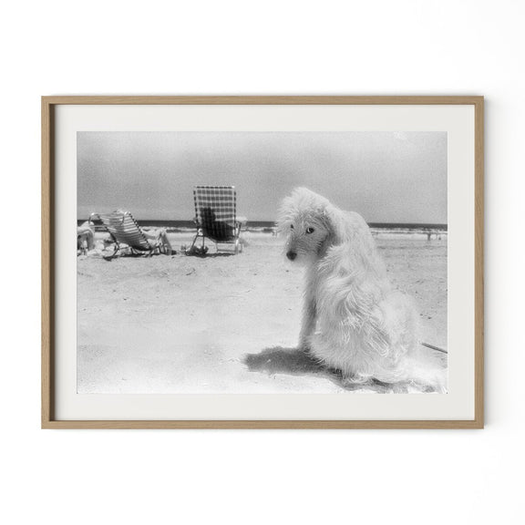 Lois At The Beach by Barbara Alper - White Oak