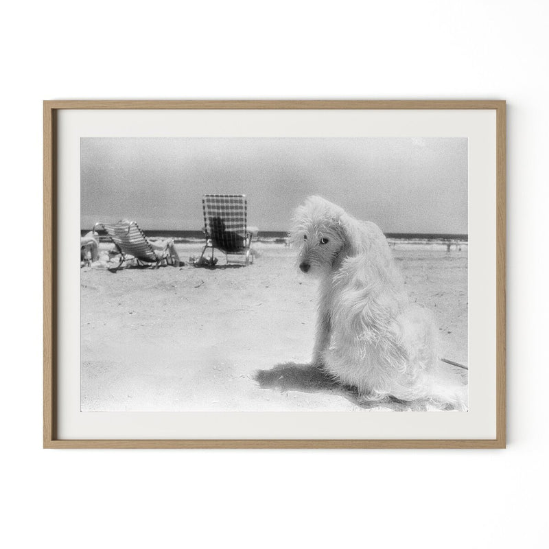 Lois At The Beach by Barbara Alper - White Oak