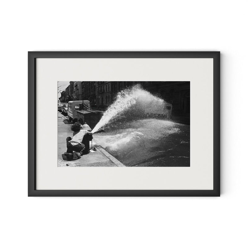 New York Summer by Barbara Alper - Black Maple