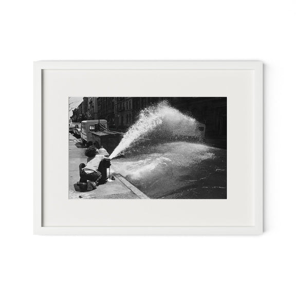 New York Summer by Barbara Alper - White Maple