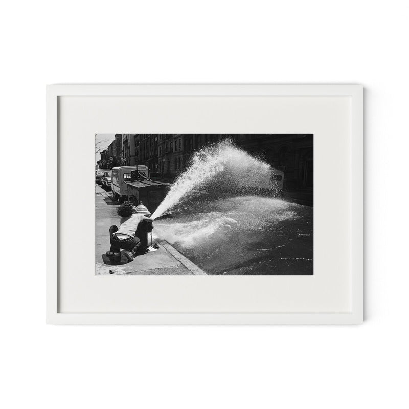 New York Summer by Barbara Alper - White Maple