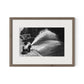 New York Summer by Barbara Alper - Rustic Walnut