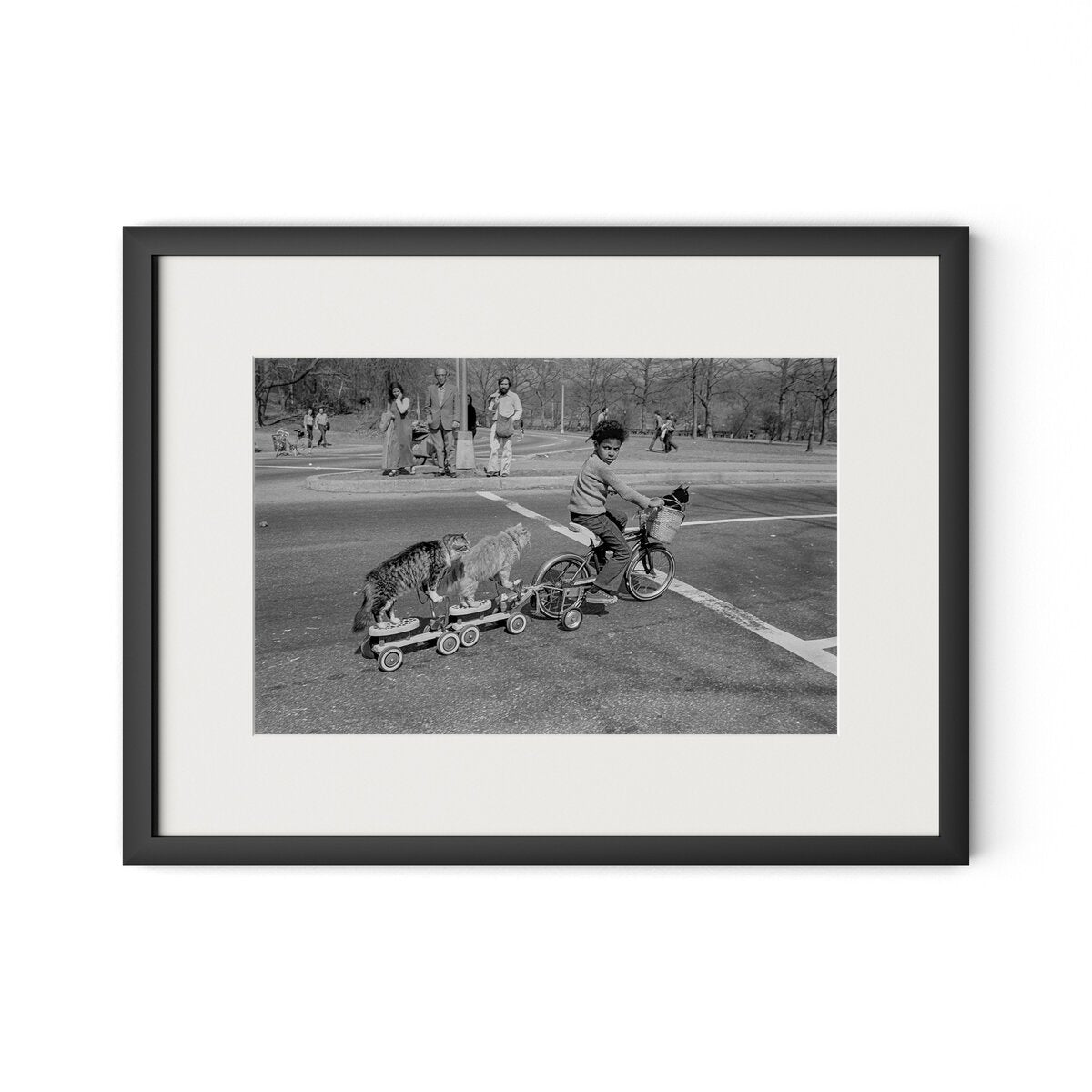 Taking The Cats For A Ride by Barbara Alper - Black Maple