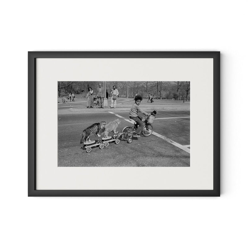 Taking The Cats For A Ride by Barbara Alper - Black Maple