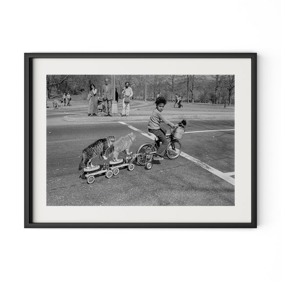 Taking The Cats For A Ride by Barbara Alper - Black Maple