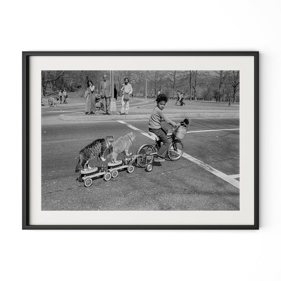 Taking The Cats For A Ride by Barbara Alper - Black Maple