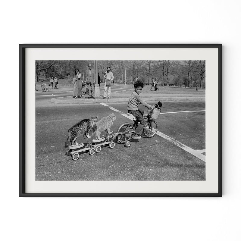 Taking The Cats For A Ride by Barbara Alper - Black Maple