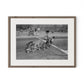 Taking The Cats For A Ride by Barbara Alper - Rustic Walnut