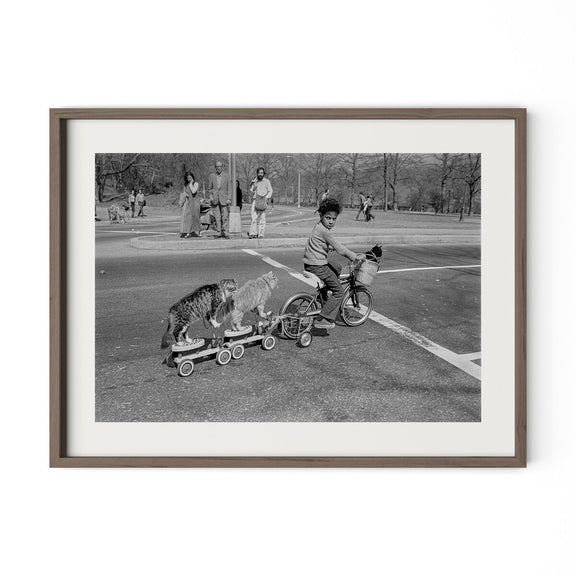 Taking The Cats For A Ride by Barbara Alper - Rustic Walnut