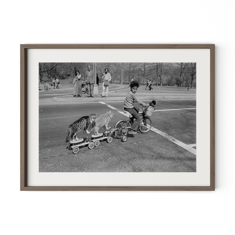 Taking The Cats For A Ride by Barbara Alper - Rustic Walnut