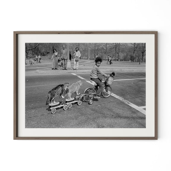 Taking The Cats For A Ride by Barbara Alper - Rustic Walnut