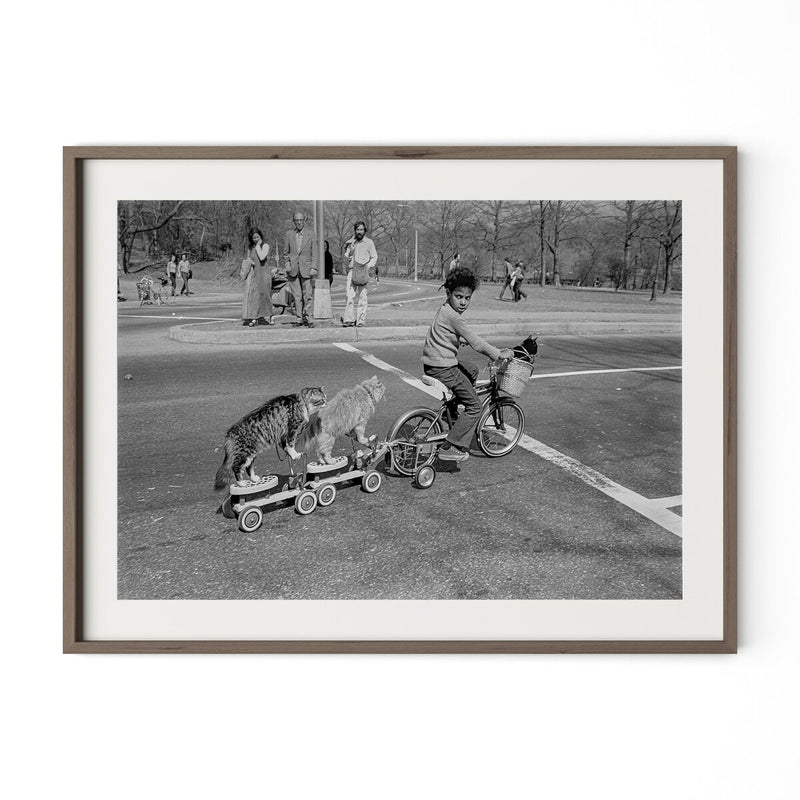 Taking The Cats For A Ride by Barbara Alper - Rustic Walnut