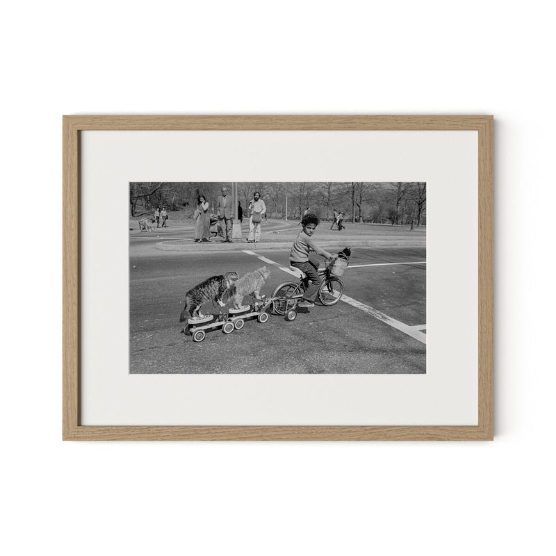 Taking The Cats For A Ride by Barbara Alper - White Oak