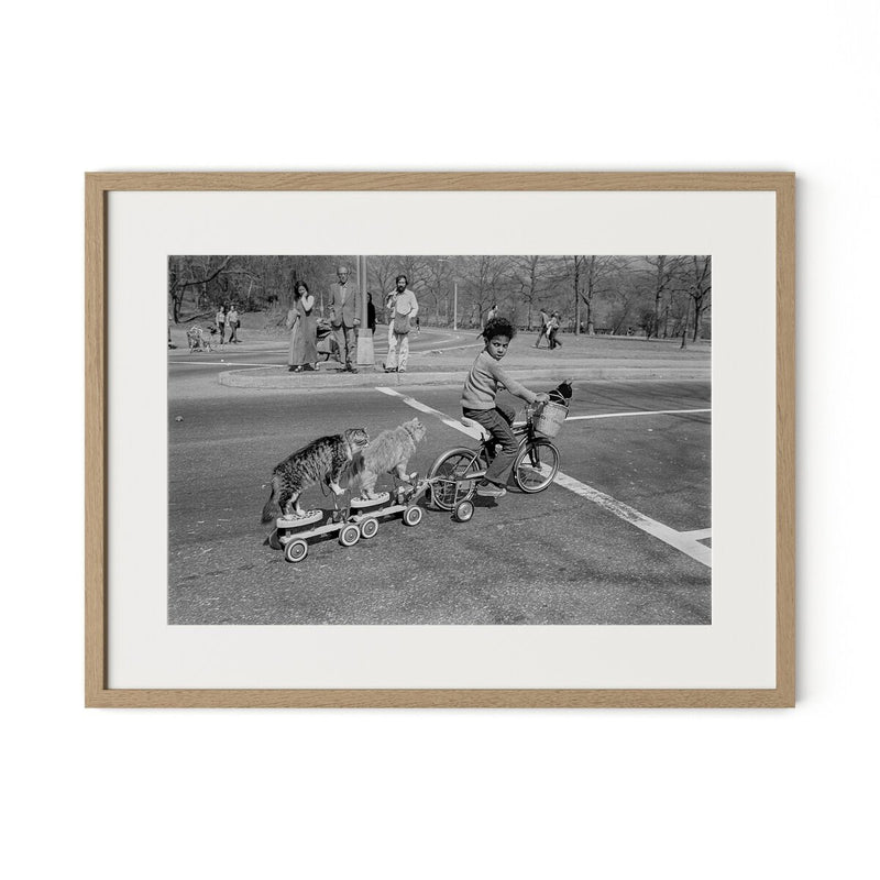 Taking The Cats For A Ride by Barbara Alper - White Oak