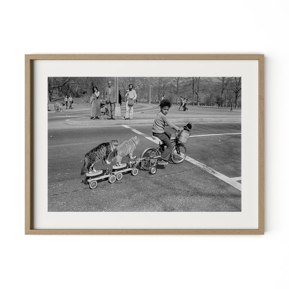 Taking The Cats For A Ride by Barbara Alper - White Oak