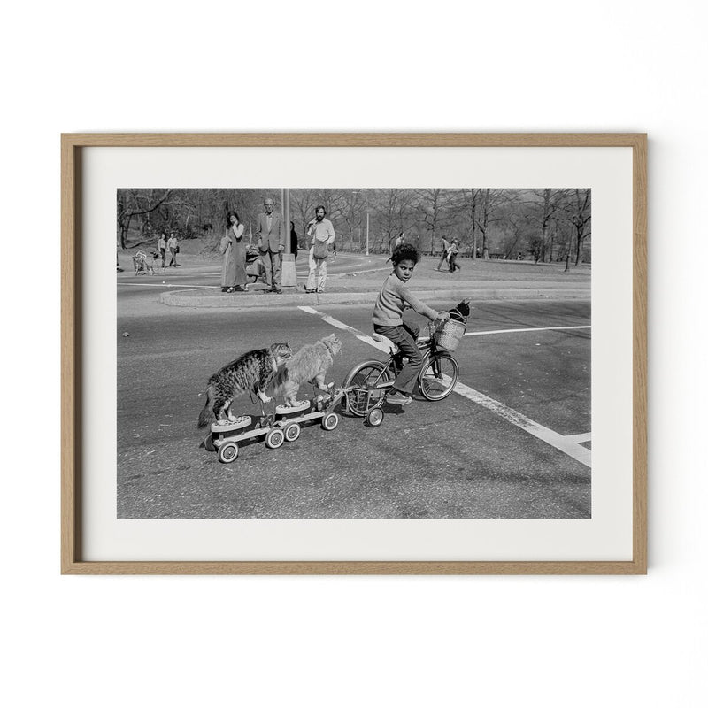 Taking The Cats For A Ride by Barbara Alper - White Oak