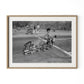Taking The Cats For A Ride by Barbara Alper - White Oak