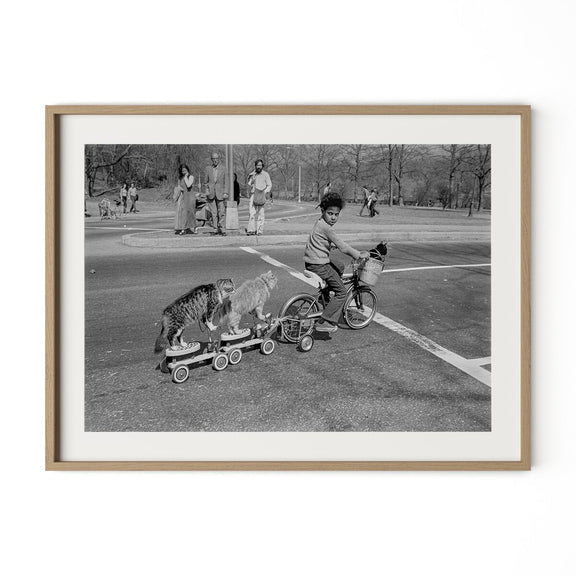 Taking The Cats For A Ride by Barbara Alper - White Oak