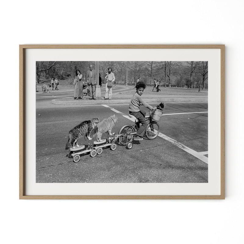 Taking The Cats For A Ride by Barbara Alper - White Oak