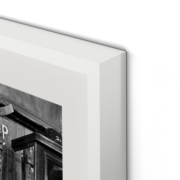 United House Wrecking by Barbara Alper - White Maple
