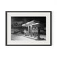 Blizzard Of 1978 by Barbara Alper - Black Maple