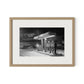 Blizzard Of 1978 by Barbara Alper - White Oak