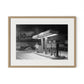 Blizzard Of 1978 by Barbara Alper - White Oak