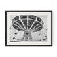 Coney Island by Barbara Alper - Black Maple