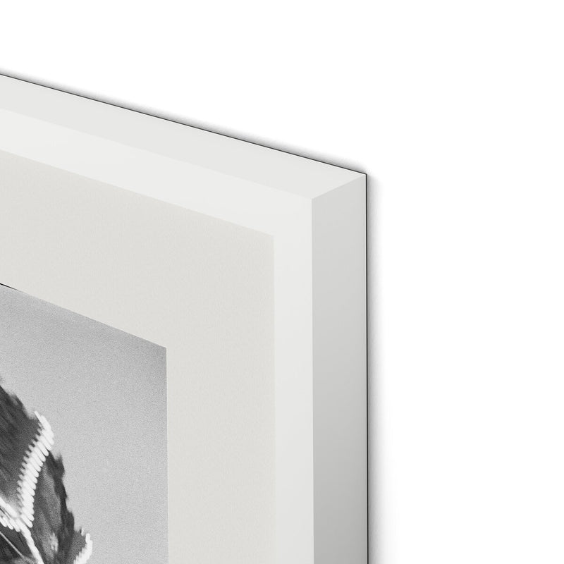 Coney Island by Barbara Alper - White Maple