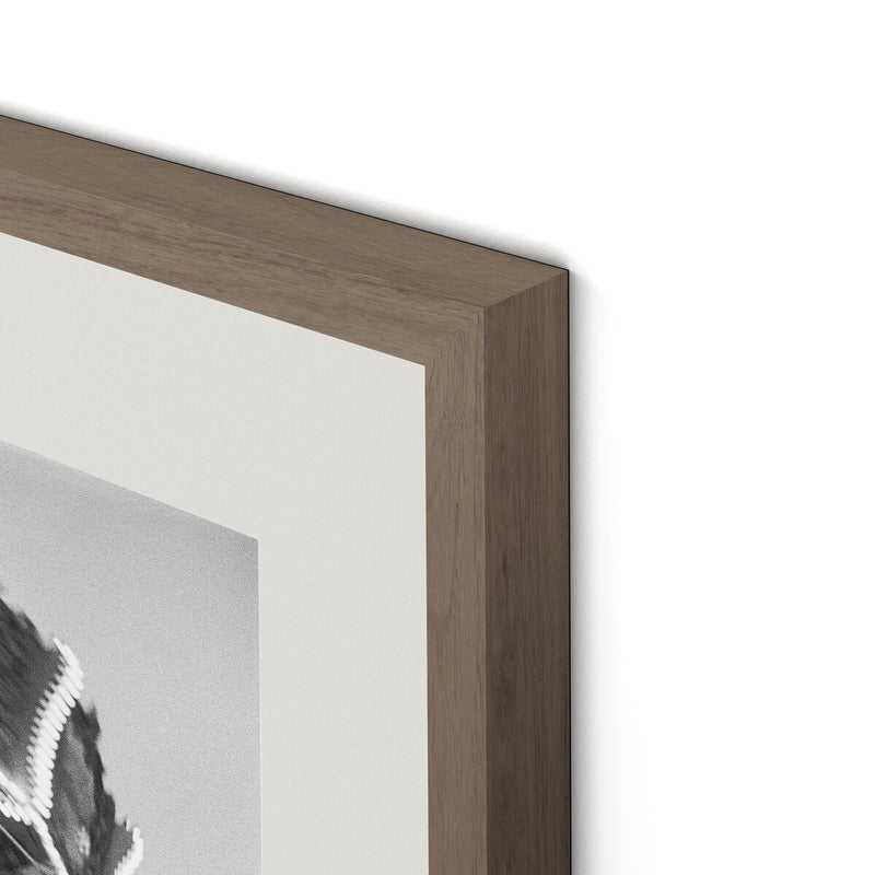 Coney Island by Barbara Alper - Rustic Walnut