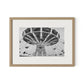 Coney Island by Barbara Alper - White Oak