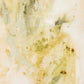 The Unruliness Of Growing Things by Kristen Abbott - 14"X18"