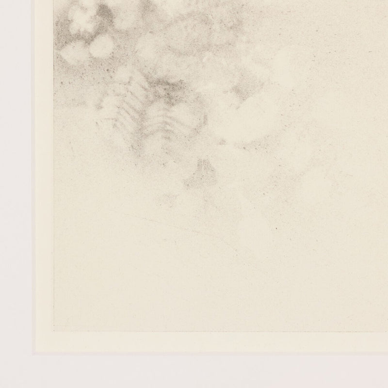 Breath Drawing XXII by Adrián White - 12"X16"