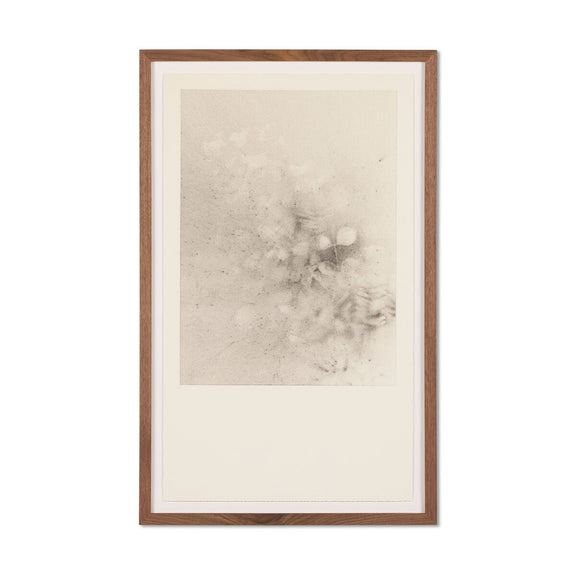 Breath Drawing XXVII by Adrián White - 12"X18"