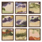 Summer Storm (Set of 9) by Beth Winterburn - 36"X36"