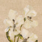 Blooms II Triptych by Brittney Schulz - 36"X16"