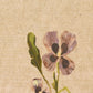 Blooms II Triptych by Brittney Schulz - 36"X16"