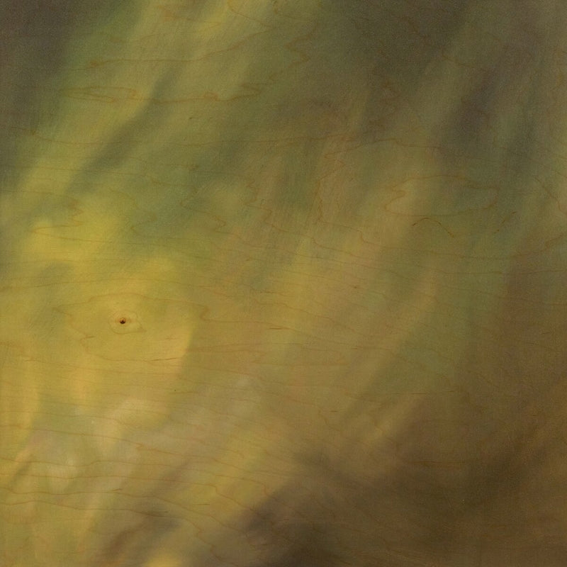 Reflection by Jess Engle - 24"X24"