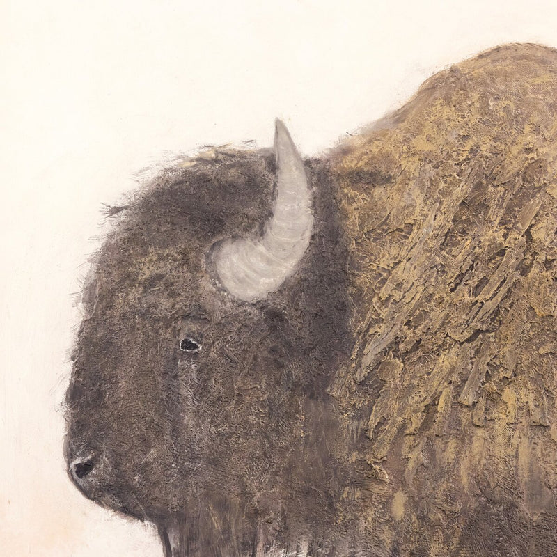 Bison by Paul Meyer - 24"X24"