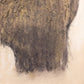 Bison by Paul Meyer - 24"X24"