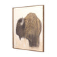 Bison by Paul Meyer - 24"X24"
