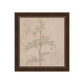 Garden Whisper Framed Print