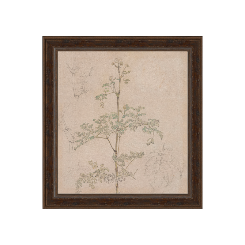 Garden Whisper Framed Print