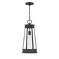 Payne 1-Light Outdoor Hanging Lantern
