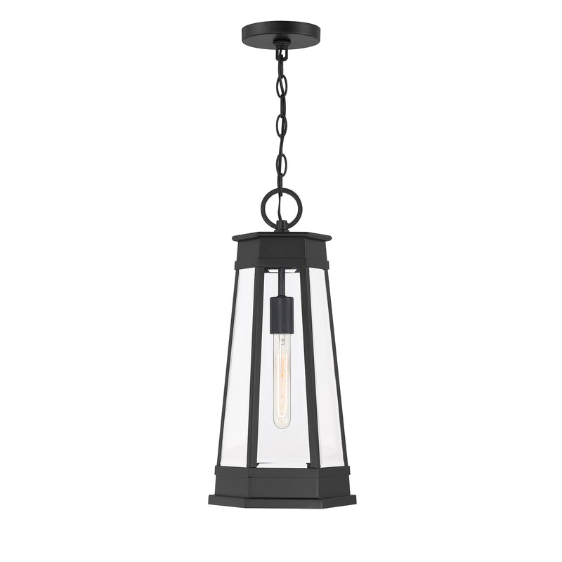 Payne 1-Light Outdoor Hanging Lantern