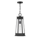 Payne 1-Light Outdoor Hanging Lantern