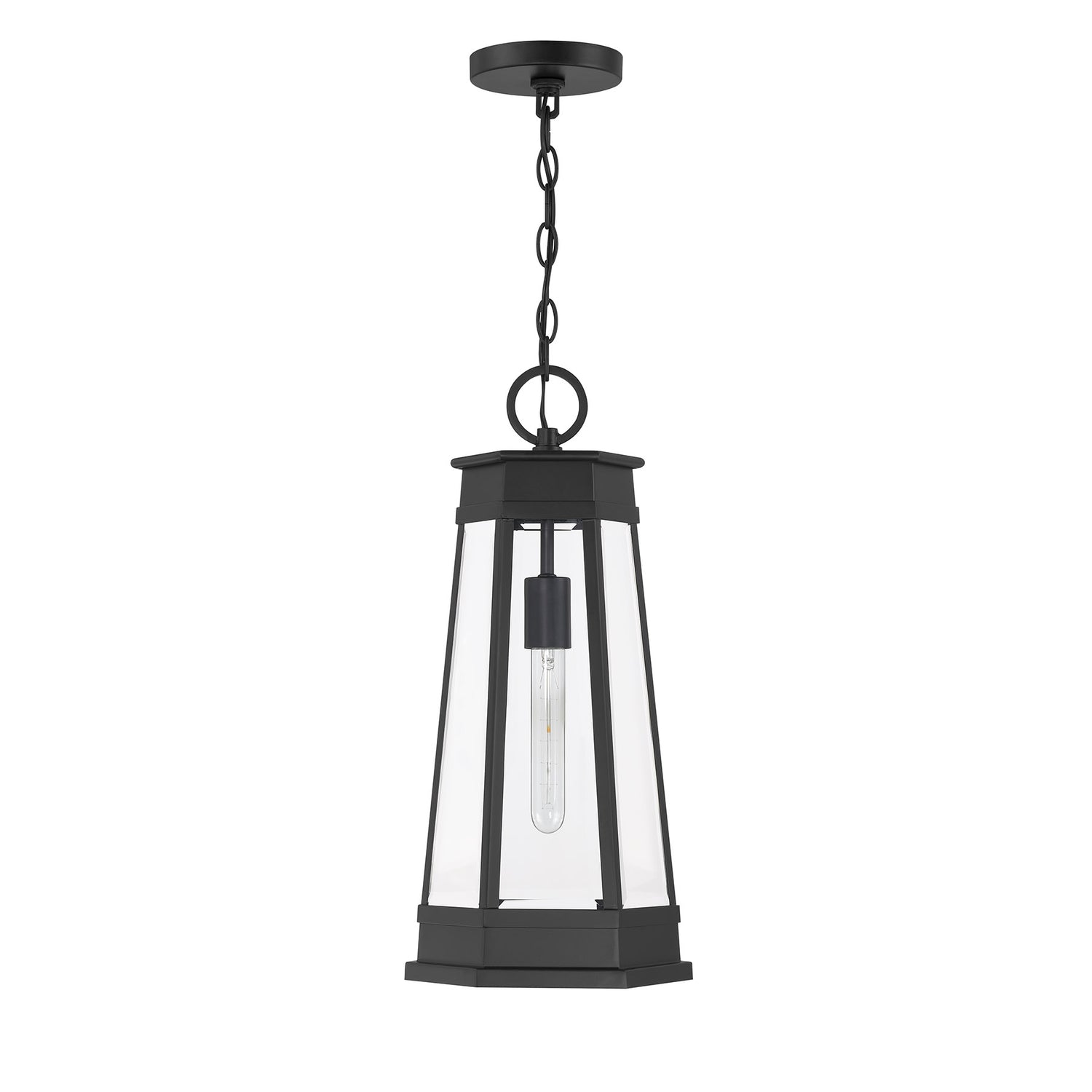 Payne 1-Light Outdoor Hanging Lantern