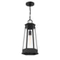 Payne 1-Light Outdoor Hanging Lantern