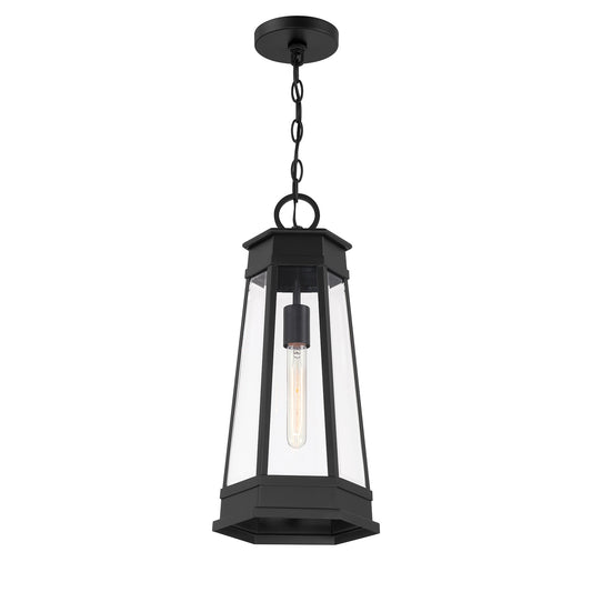 Payne 1-Light Outdoor Hanging Lantern